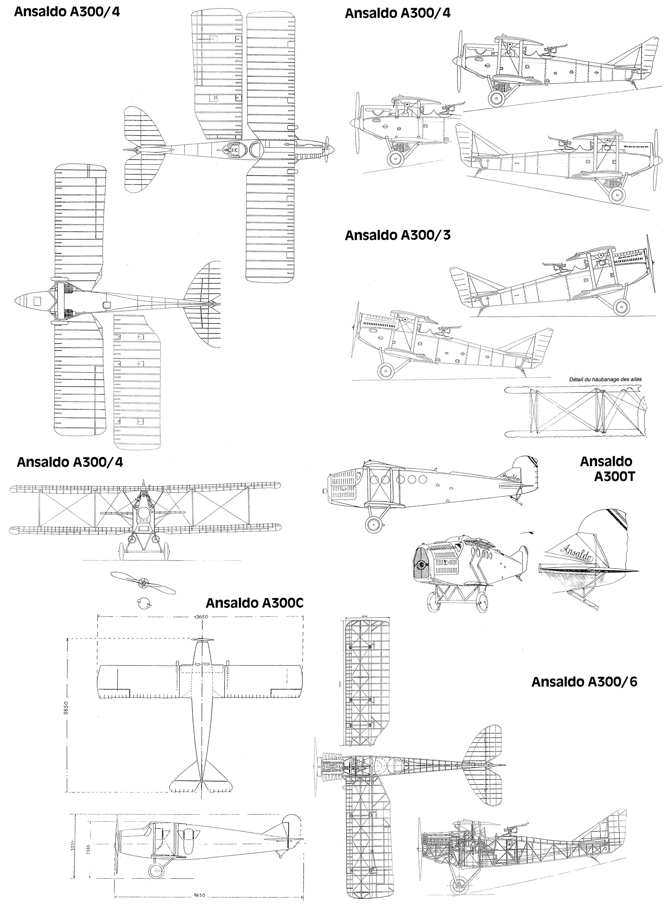 Чертеж Ansaldo A.300
