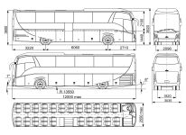 Чертеж автобуса МАЗ-251